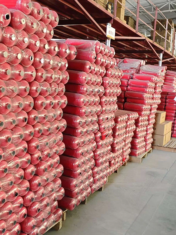 Hanged Dry Powder Fire Extinguisher