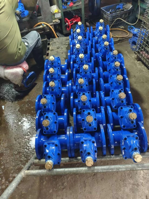 Osy Gate Valve
